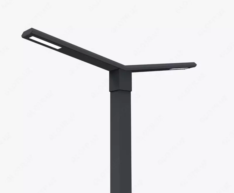  DSL-001/4/2 100W tashqi park LED fonari (Ф120×80) - 