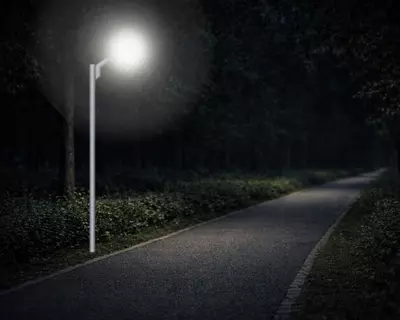  DSL-001/1/1 30W Ф120×80 Bra quvurli fonar tayanchi - 