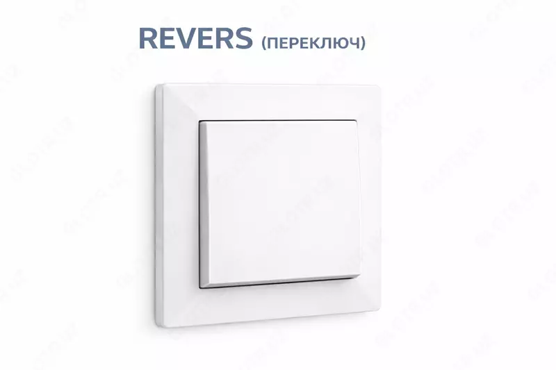 REVERS (O‘TKAZGICHLI O‘CHIRGICH)