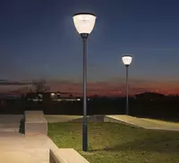 Уличный фонарь XSTY-5011 6500К Ф159х76