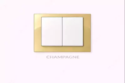   Выключатель REVERS DUO