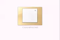   Выключатель REVERS