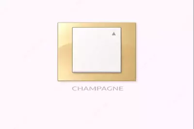   Выключатель REVERS