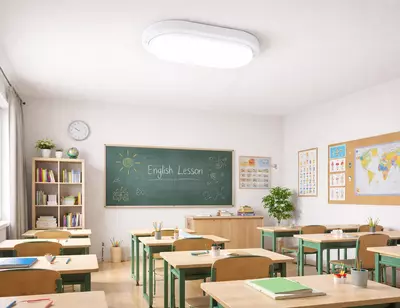  Герметик плафон BLACK 24W 4000K OVAL Только в розницу