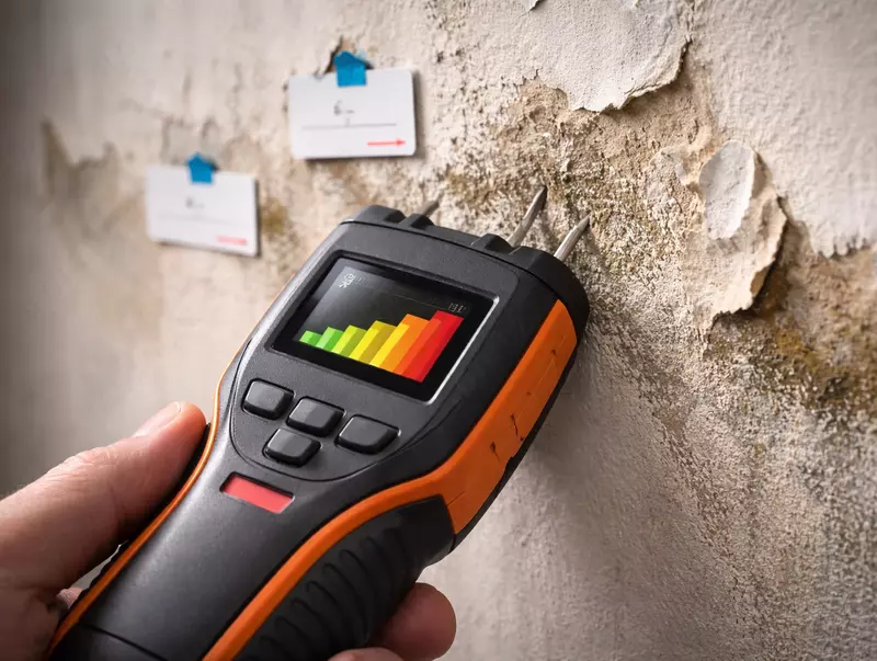  Реконструкция и капитальный ремонт: обследование здания Только в розницу