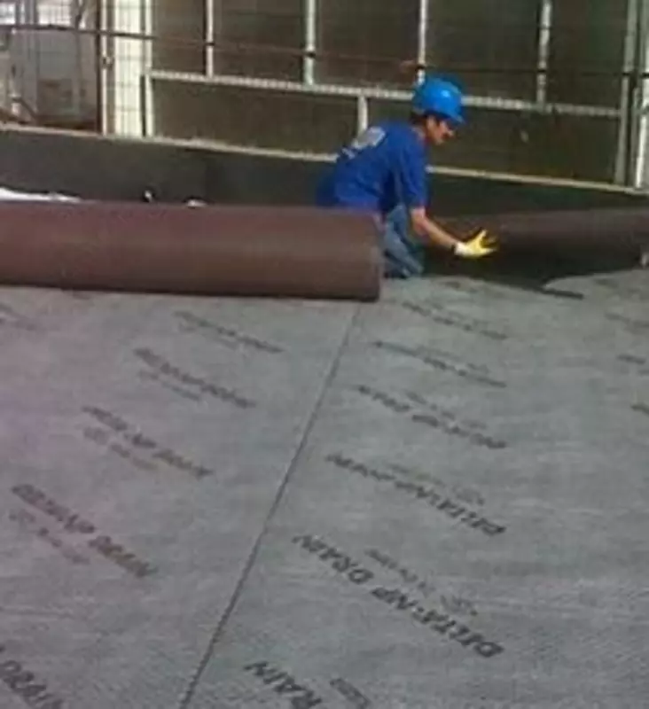 Дренажная мембрана Delta-NP drain - по запросу