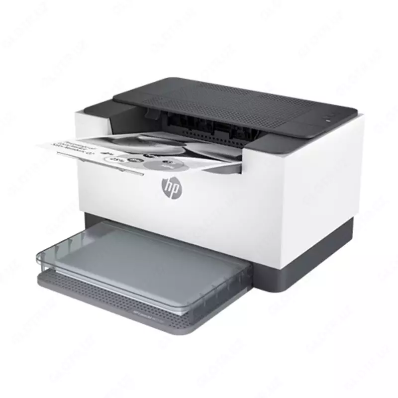   HP LaserJet Tank 1602w printer