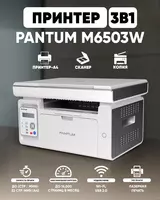 Pantum M6503W printer