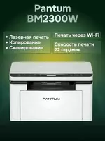 Pantum BM2300W printer