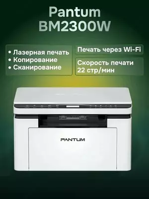 Pantum BM2300W принтер