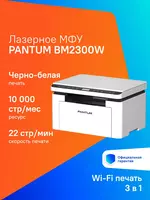 Pantum BM2300 printer