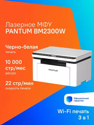 Pantum BM2300 printer