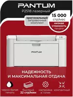 Pantum M2503W