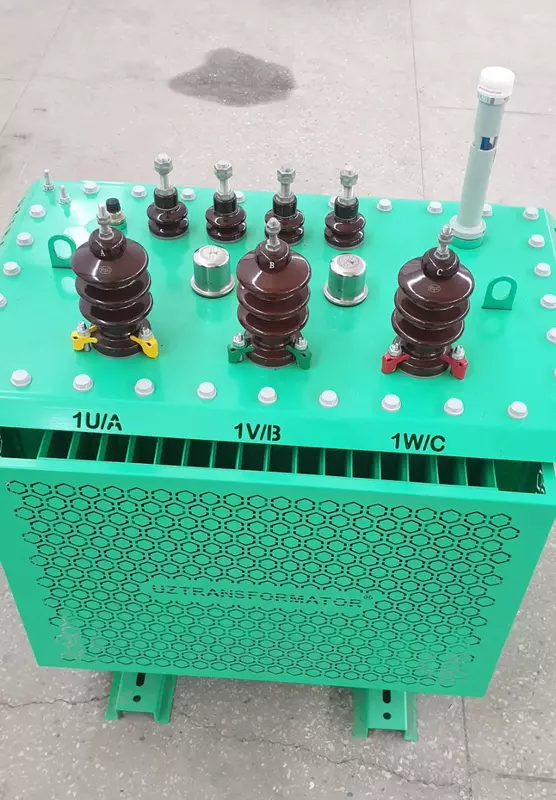 Трансформатор силовой масляный ТМ и ТМГ100/10-6/0 4