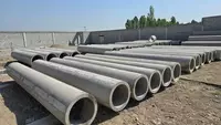 Sunny Temir Beton Beton Truba TB100.25-1