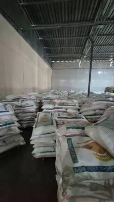 1-navli bug‘doy uni