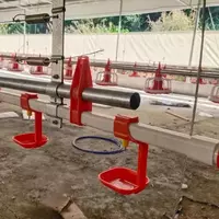 Broyler tovuqlari uchun toliq avtomatik oziqlantiruvchi va ichimlik idishlari  fermalar uchun parrandalarni oziqlantirish liniyasi uchun yangi uskunalar