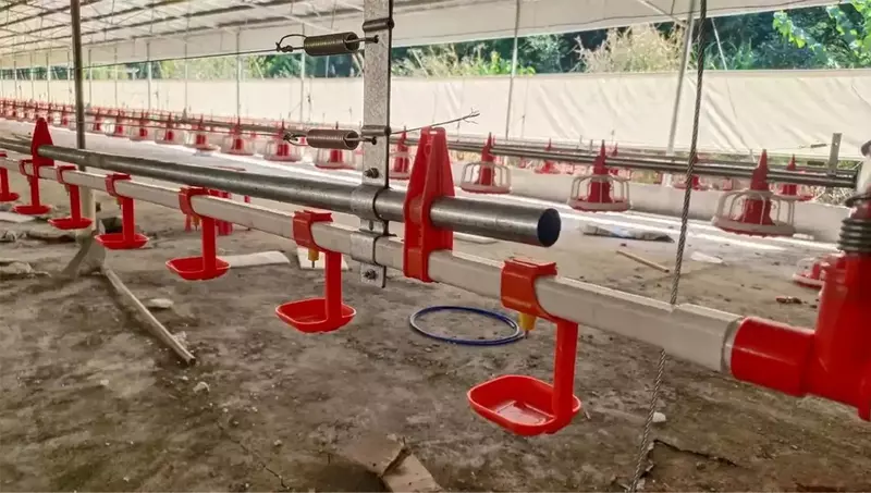  Broyler tovuqlari uchun toliq avtomatik oziqlantiruvchi va ichimlik idishlari  fermalar uchun parrandalarni oziqlantirish liniyasi uchun yangi uskunalar - 
