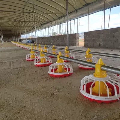  Broyler tovuqlari uchun toliq avtomatik oziqlantiruvchi va ichimlik idishlari  fermalar uchun parrandalarni oziqlantirish liniyasi uchun yangi uskunalar Ulgurji va chakana