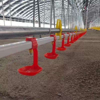  Broyler tovuqlari uchun toliq avtomatik oziqlantiruvchi va ichimlik idishlari  fermalar uchun parrandalarni oziqlantirish liniyasi uchun yangi uskunalar M-Chicken