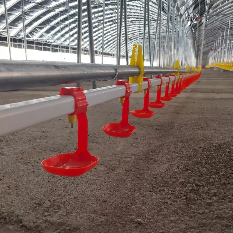  Broyler tovuqlari uchun toliq avtomatik oziqlantiruvchi va ichimlik idishlari  fermalar uchun parrandalarni oziqlantirish liniyasi uchun yangi uskunalar M-Chicken