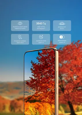   Honor X9D 8/256 GB 5G