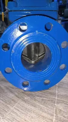  Задвижки чугунные фланцевые с обрезиненным клином - 