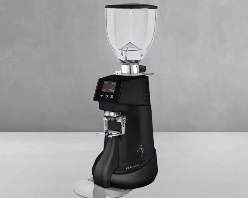 Fiorenzato F83 Evo XGi professional kofe maydalagich