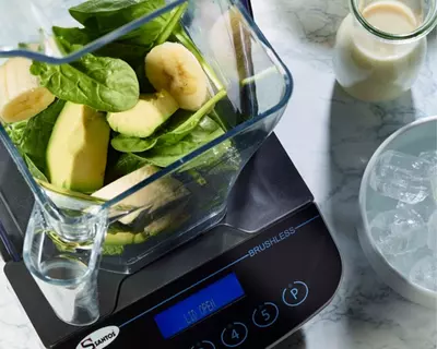   Santos Brushless Blender 62