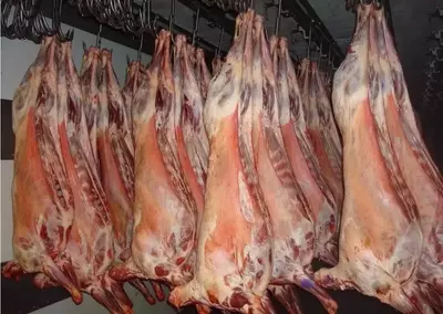 Баранина в тушах