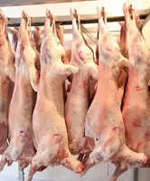  Баранина в тушах - 