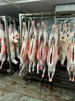   Баранина в тушах