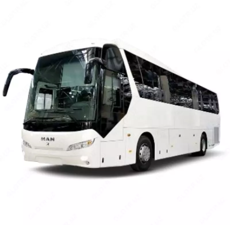  Premium Avto kortej xizmati | Mehmon Tashish xizmati IDEAL AUTO ENGINERING