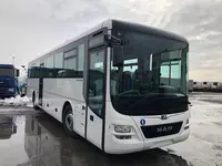 Mehmonlar uchun shahar transporti xizmati  MAN avtobusi  oq rangda  48 orindiq (Aeroport transferi)