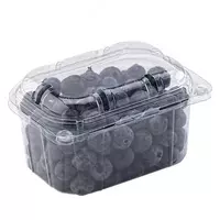 Контейнер с отверстиями для фруктов и ягод 250 мл