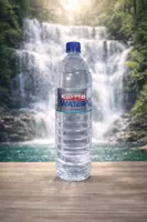 SilverWater 1 л (негазированная) TABIIY GAZLANMAGAN ICHIMLIK SUVI NATURAL SPARKING DRINKING WATER