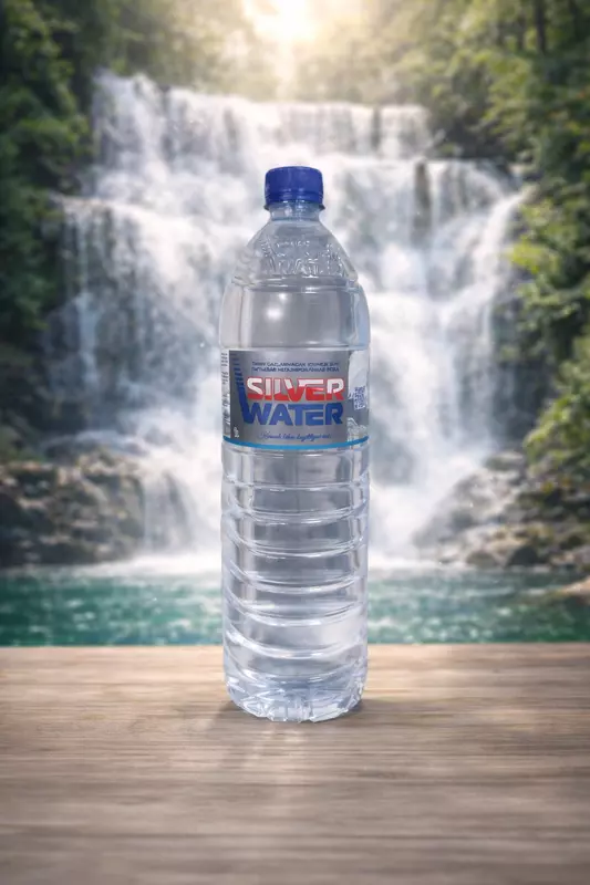 SilverWater 1 л (негазированная) TABIIY GAZLANMAGAN ICHIMLIK SUVI NATURAL SPARKING DRINKING WATER