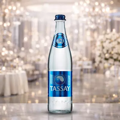 Минеральная вода  TASSAY Premium  Газированная вода  КЗ 0 5 л