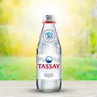  Минеральная вода TASSAY Premium  негазированная вода   0 25 л - 