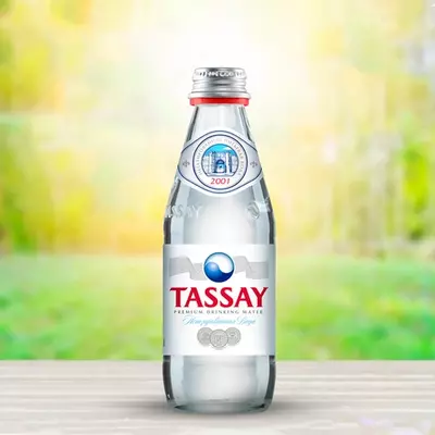  Минеральная вода TASSAY Premium  негазированная вода   0 25 л - 