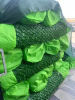  Ограждение искусственного типа oulite