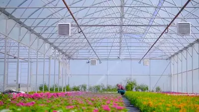  Volcano VR 2 AC - havo issiqlik ventilyatori Chakana savdo