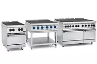 6 ta konforkali elektr plita Abat (duxovkasiz)