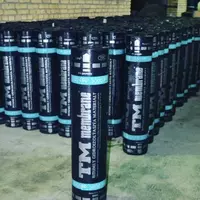 Гидроизоляция Tm membrane Туркман
