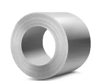 Issiq usulda rux bilan qoplangan listli prokat rulonlarda  1 00 mm