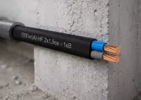 Кабель ППГнг(А)-HF 2х1 5ок - 1кВ Только в розницу