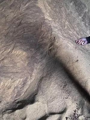 Кормовой продукт для сельскохозяйственных животных Шрот Рапс