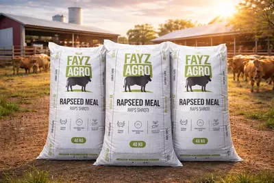 Кормовой продукт для Сельскохозяйственных животных Шрот Рапс