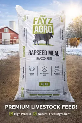   Кормовой продукт для Сельскохозяйственных животных Шрот Рапс