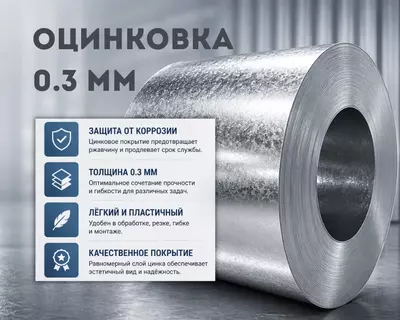 Оцинковка 0.3